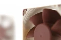 Wentylator NOCTUA NF-A6x25 60x25 mm PWM 5V