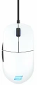 Endgame Gear XM1 RGB myszka Gaming Po prawej stronie USB Typu-A Optyczny 16000 DPI