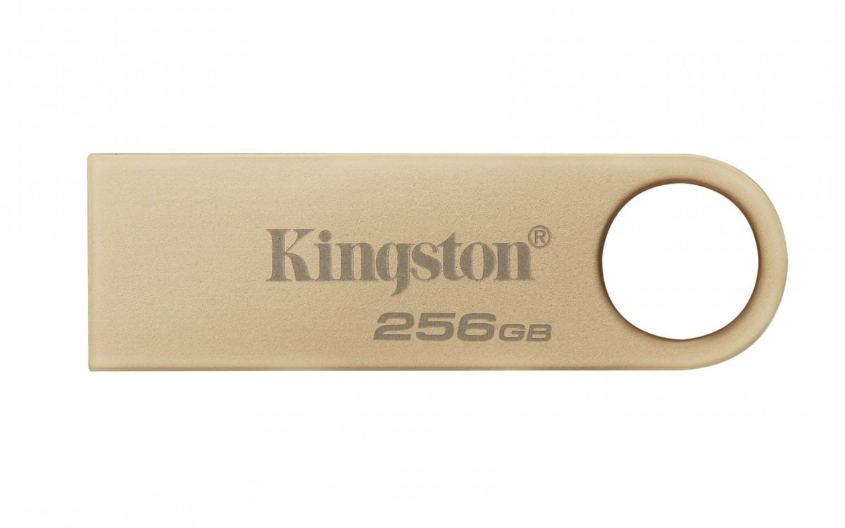 KINGSTON FLASH 256GB USB3.2 Gen.1 DataTraveler