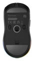 GENESIS Zircon XIII myszka Gaming Oburęczny RF Wireless + USB Type-C Optyczny 26000 DPI