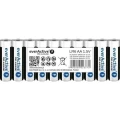 Zestaw baterii AA everActive LR610PAKPA