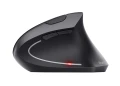 Mysz TRUST Verto Wireless Ergonomic
